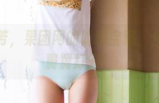 私房芬芳，果团网的隐藏宝藏，合集小心翼翼打开！