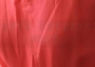 ROSI最新透明—原图里藏着些许不为人知的东西。